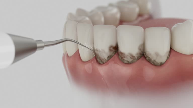 Reliable Emergency Dentist contractor in Houston County County, GA by Dentist Open Now